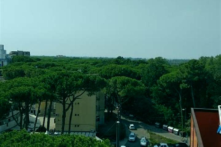 Sienna, 38 — Escort in Lido degli Estensi, Italy