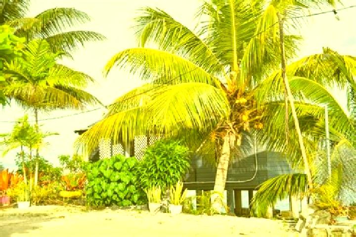 Sienna, 38 — Escort in Matautu, Samoa