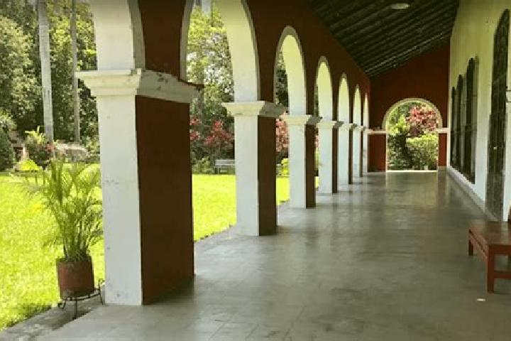 Sienna, 39 — Escort in Actipan, Mexico