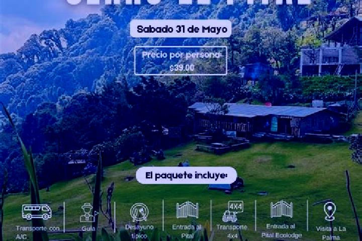 Sienna, 39 — Escort in Pital, Colombia