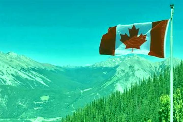 Sienna, 39 — Escort in Steinhauer, Canada