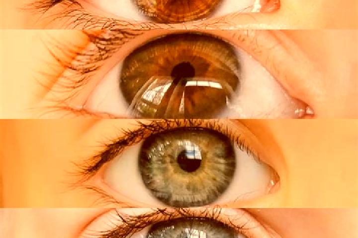 Sofia, 20, a chestnut dark-eyed mixed companion based in Coruna del Conde. Offering A-Level, Fetish, Party Girl, OWO, 69. Available for incall and outcall, d...