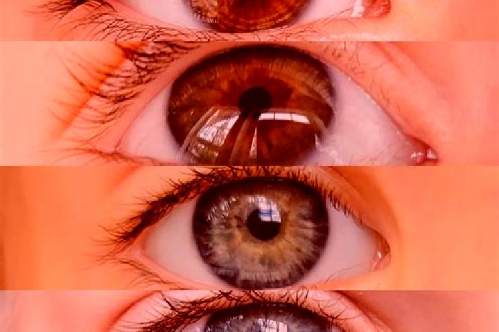 Sofia, 20, a chestnut dark-eyed mixed companion based in Krajan Selur. Offering Prostate Massage, Duos, Couples, Roleplay. Available for incall and outcall, ...