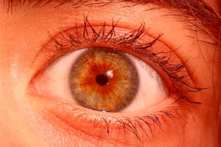 Sofia, 20, a red hazel-eyed indian companion based in Cherre. Offering OWO, A-Level, Travel Companion, Tantra. Available for incall and outcall, overnight bo...