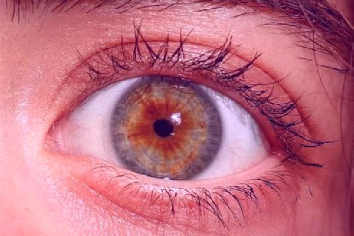 Sofia, 20, a red hazel-eyed mediterranean companion based in Olari. Offering Fetish, Domination, Girlfriend Experience. Available for incall and outcall, day...