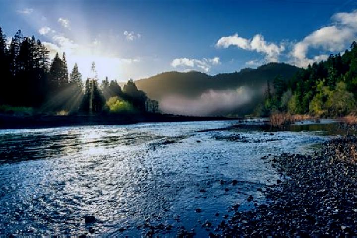 Sofia, 20 — Escort in Eel River Crossing, Canada