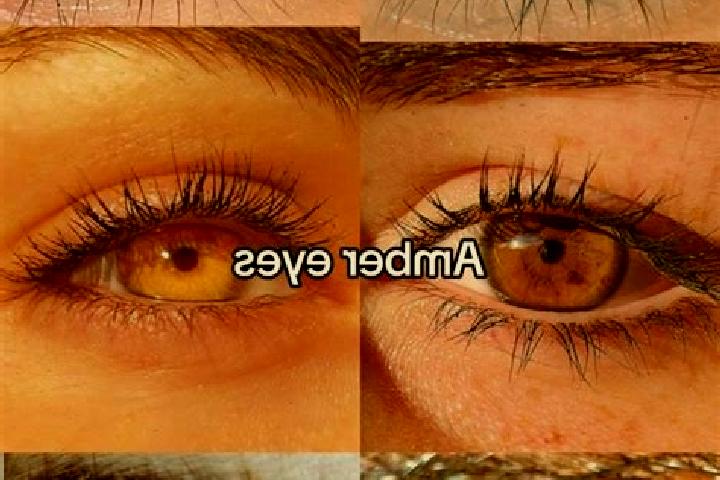 Sofia, 21, a chestnut amber-eyed mixed companion based in Strahwalde. Offering Dinner Date, Fetish, Deep French Kissing, Couples. Available for incall and ou...