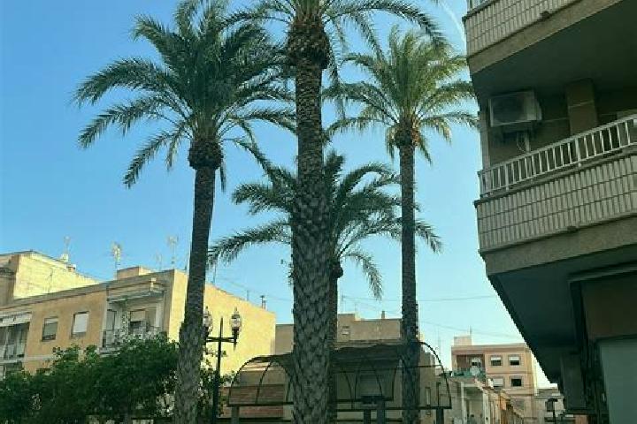 Sofia, 21 — Escort in Albatera, Spain