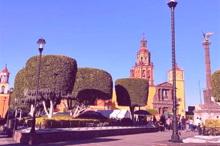 Sofia, 21 — Escort in Guadalupe del Rio, Mexico