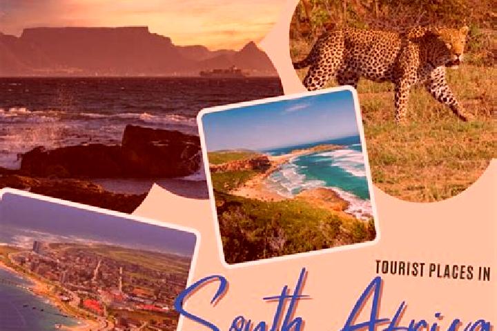 Sofia, 21 — Escort in Iswepe, South Africa