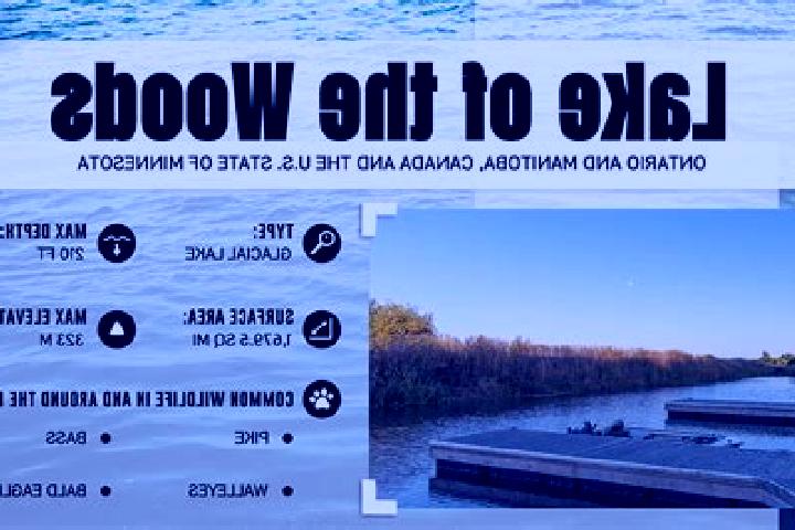 Sofia, 21 — Escort in Lake of the Woods, United States