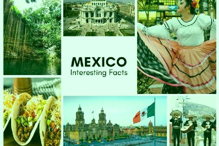 Sofia, 21 — Escort in Tamcuime, Mexico
