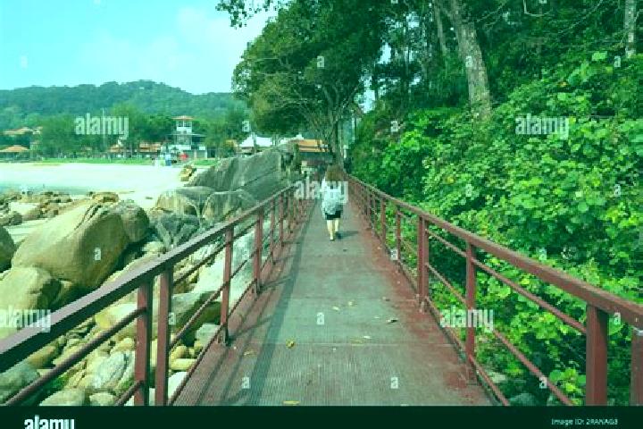 Sofia, 22 — Escort in Guar Chempedak, Malaysia