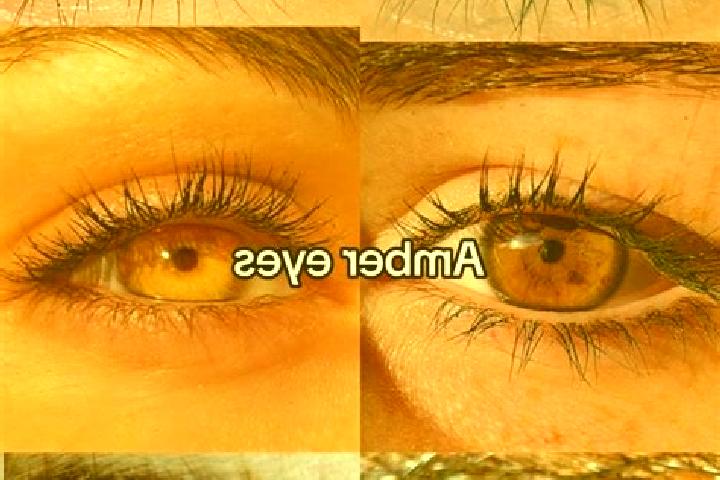 Sofia, 23, a brunette amber-eyed mixed companion based in La Libertad. Offering Domination, BDSM, Travel Companion. Available for incall and outcall, overnig...