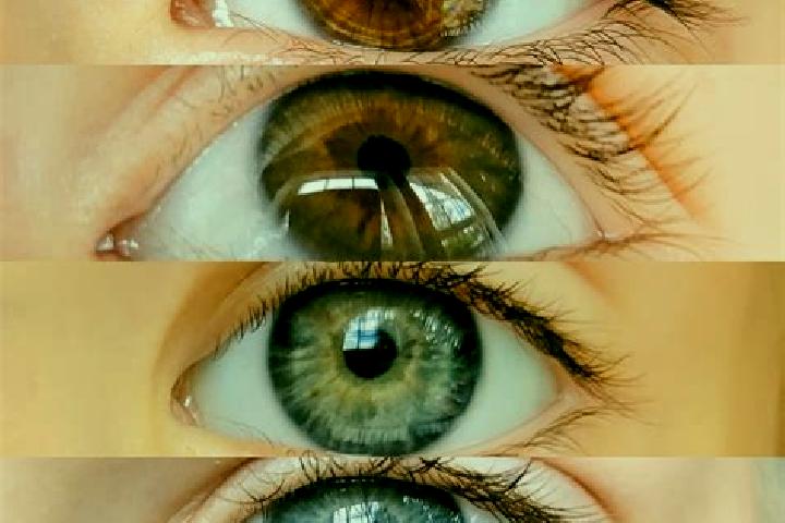 Sofia, 23, a chestnut grey-eyed mixed companion based in Vottignasco. Offering OWO, Prostate Massage, Dinner Date, CIM. Available for incall and outcall, day...