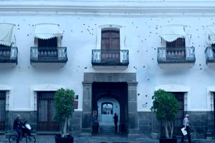 Sofia, 23 — Escort in Aquiles Serdan (La Hediondilla), Mexico