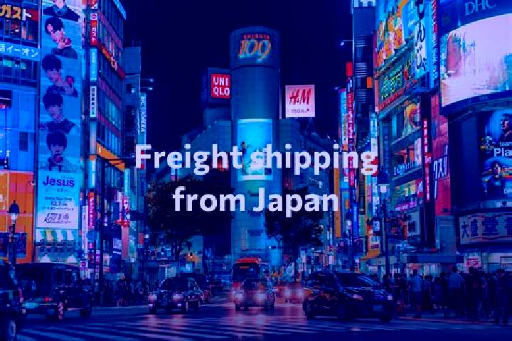 Sofia, 23 — Escort in HIgashifushimi, Japan