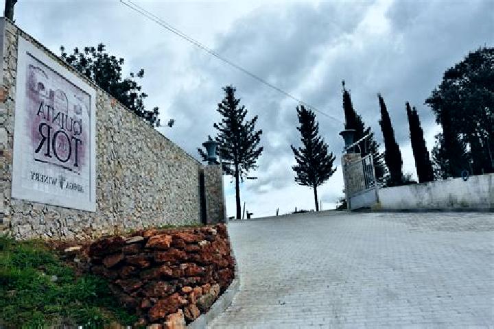 Sofia, 23 — Escort in Sao Marcos da Serra, Portugal