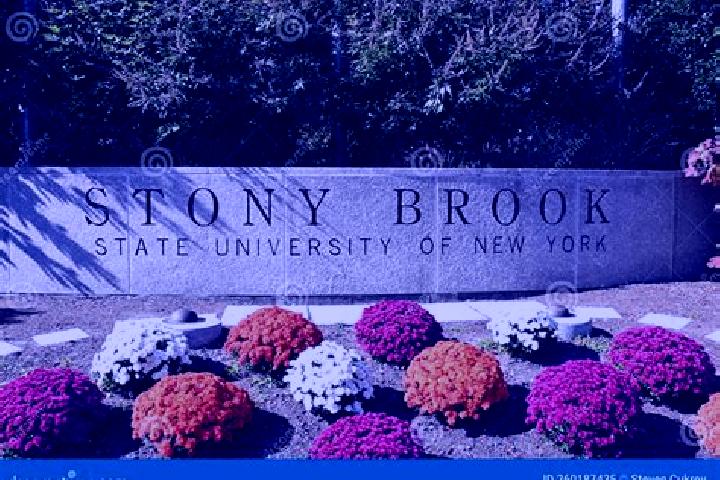 Sofia, 23 — Escort in Stony Brook, United States