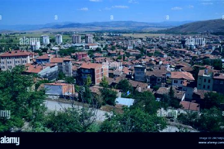 Sofia, 23 — Escort in Zile, Turkey