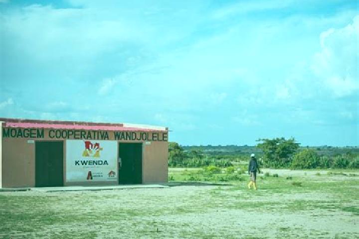 Sofia, 24 — Escort in Capunda Cavilongo, Angola