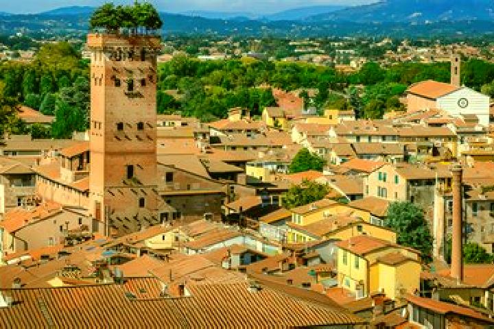 Sofia, 24 — Escort in Lucca, Italy