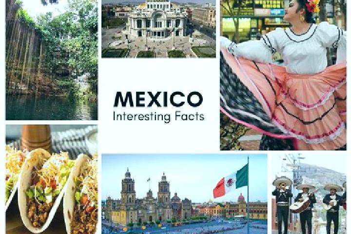 Sofia, 24 — Escort in Majoval, Mexico