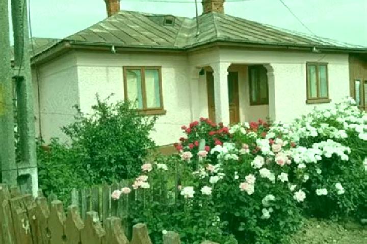 Sofia, 24 — Escort in Mihalceni, Romania