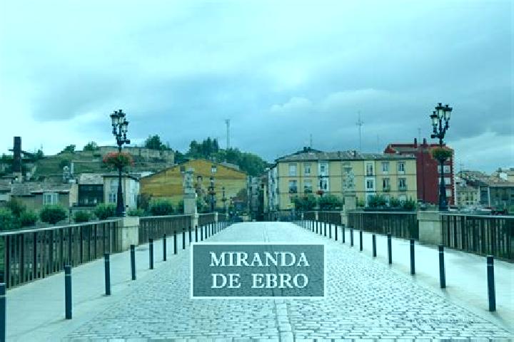 Sofia, 24 — Escort in Pina de Ebro, Spain