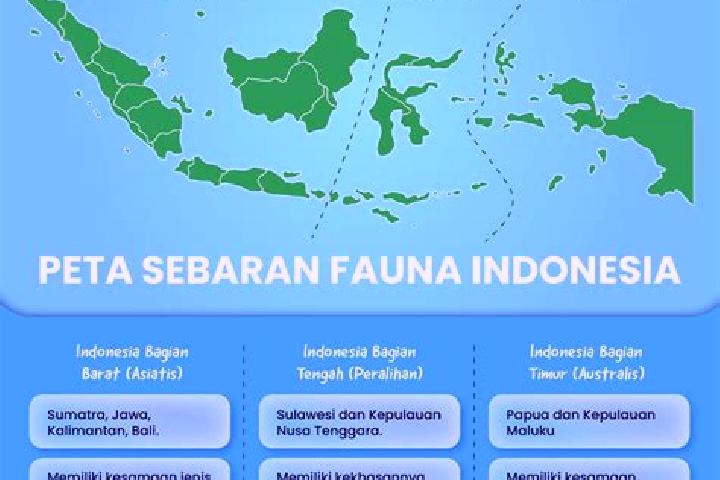 Sofia, 24 — Escort in Polagan Tengah, Indonesia