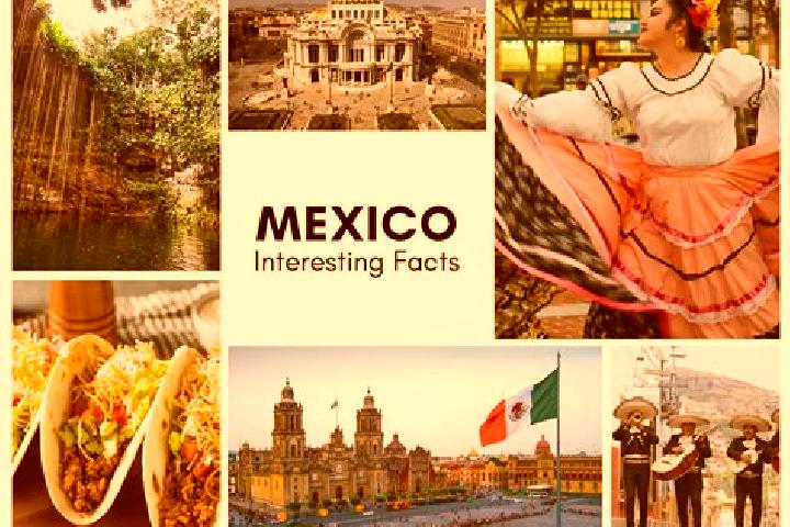 Sofia, 24 — Escort in Yibeljoj, Mexico