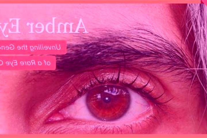Sofia, 25, a black amber-eyed ebony companion based in Walldorf. Offering BDSM, GFE, 69, Overnight. Available for incall and outcall, overnight bookings avai...