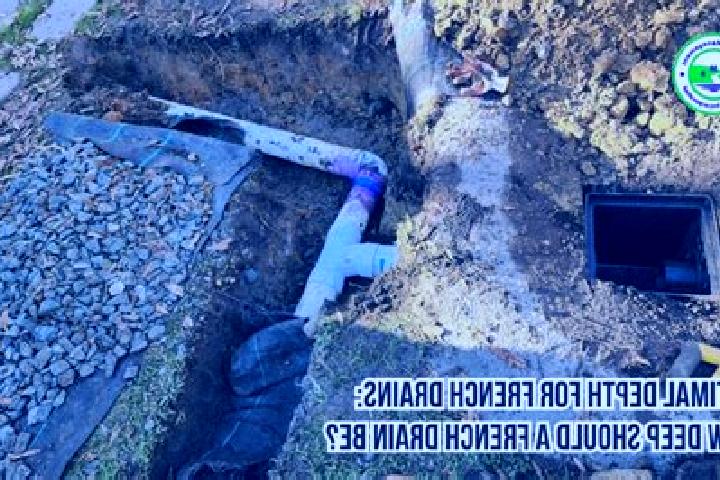 Sofia, 25 — Escort in Drain, France