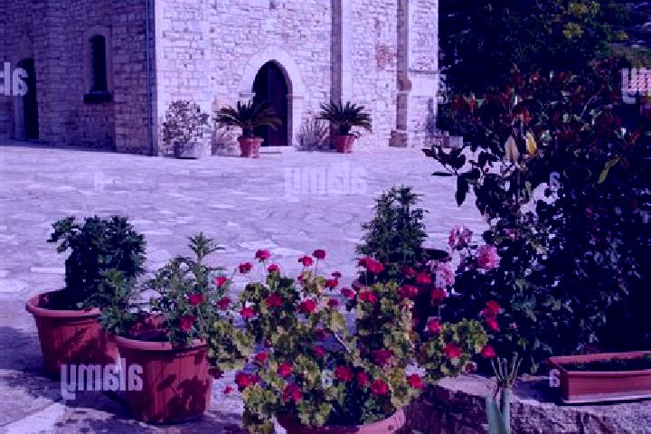 Sofia, 25 — Escort in Pano Panagia, Cyprus