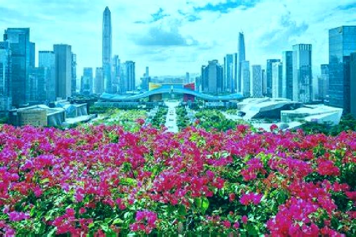 Sofia, 26 — Escort in Lianhua, China