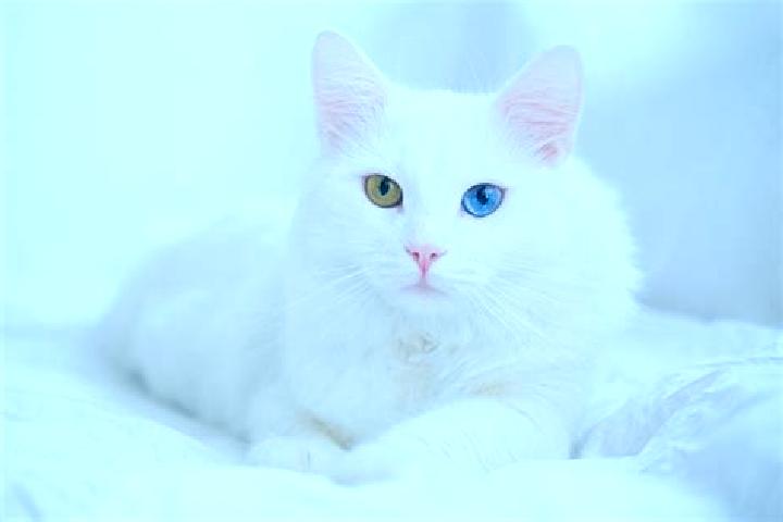 Sofia, 27, a black dark-eyed mixed companion based in Ngora. Offering Domination, Roleplay, A-Level, OWO, Duos. Available for incall and outcall, overnight b...