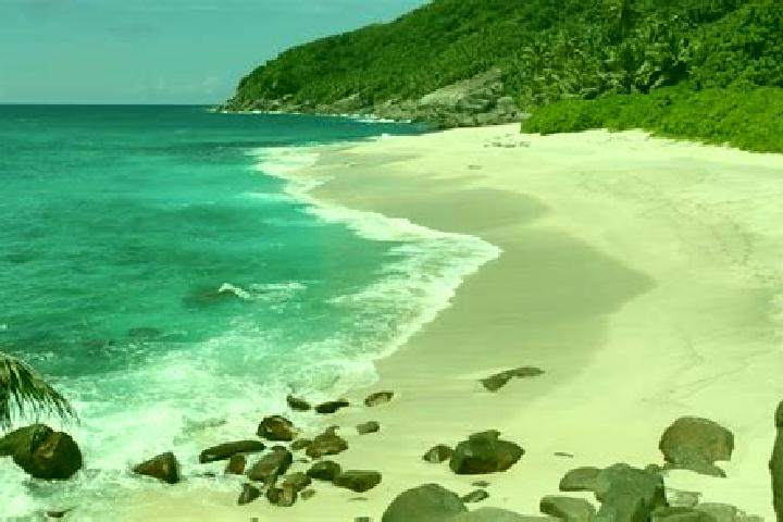 Sofia, 27 — Escort in Anse Boileau, Seychelles