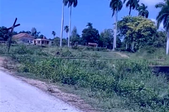 Sofia, 27 — Escort in Corralillo, Cuba