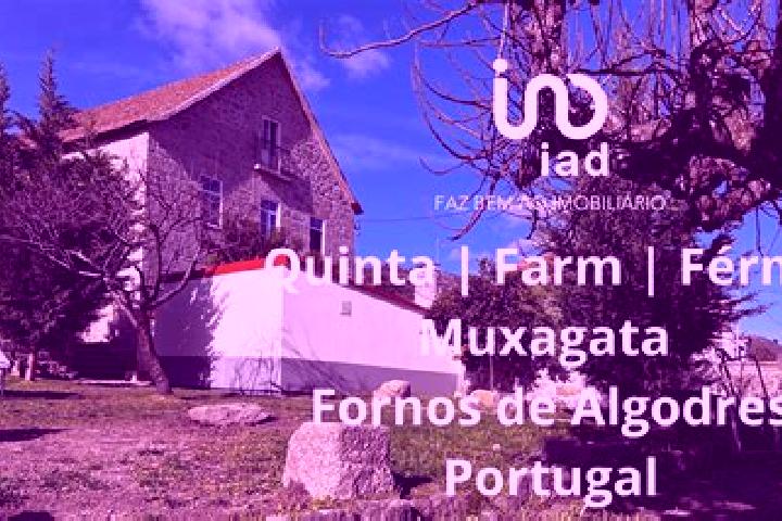 Sofia, 27 — Escort in Fornos de Algodres, Portugal
