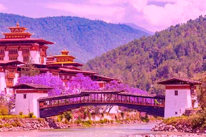 Sofia, 27 — Escort in Punakha, Bhutan
