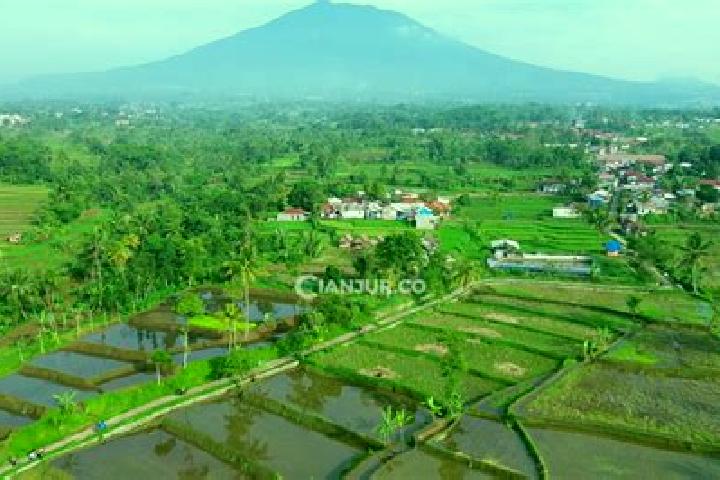 Sofia, 27 — Escort in Sukamantri Satu, Indonesia