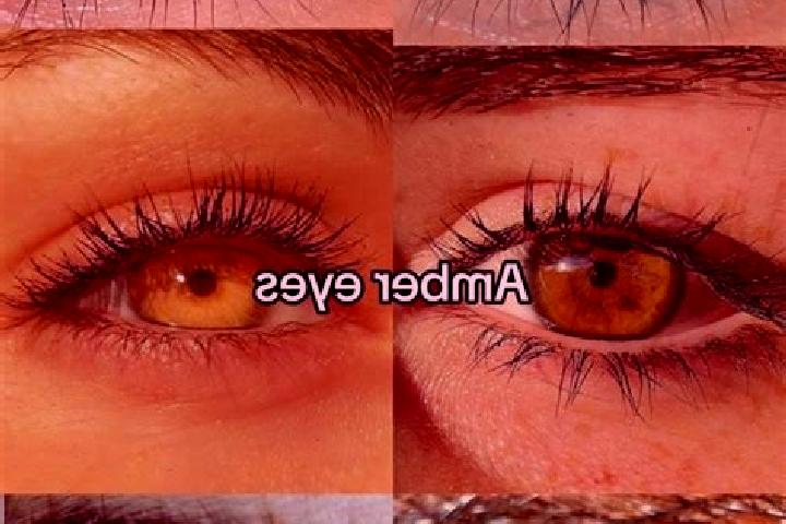Sofia, 28, a brunette amber-eyed indian companion based in Koffiefontein. Offering Striptease, OWO, CIM, A-Level, Erotic Massage. Available for incall and ou...