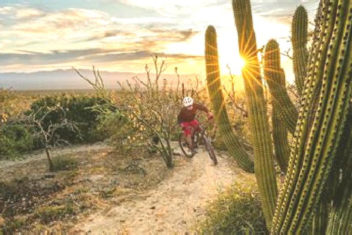 Sofia, 28 — Escort in Rancho Cuachixolotera, Mexico