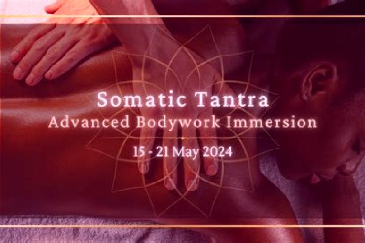 Sofia, 29, a auburn amber-eyed caucasian companion based in Cat Ba. Offering Tantra, Prostate Massage, Massage. Available for incall and outcall, day and eve...