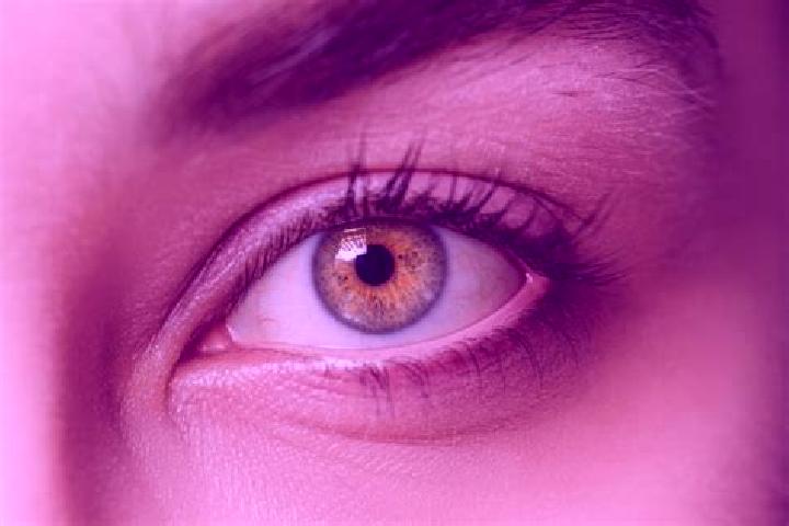 Sofia, 29, a chestnut hazel-eyed mixed companion based in Villaveza del Agua. Offering BDSM, Deep French Kissing, Overnight, Roleplay. Available for incall a...
