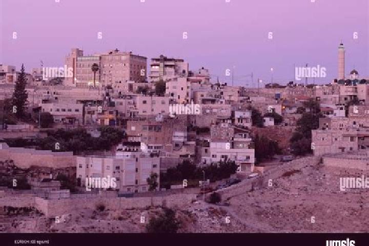 Sofia, 29 — Escort in Al Amud, Yemen