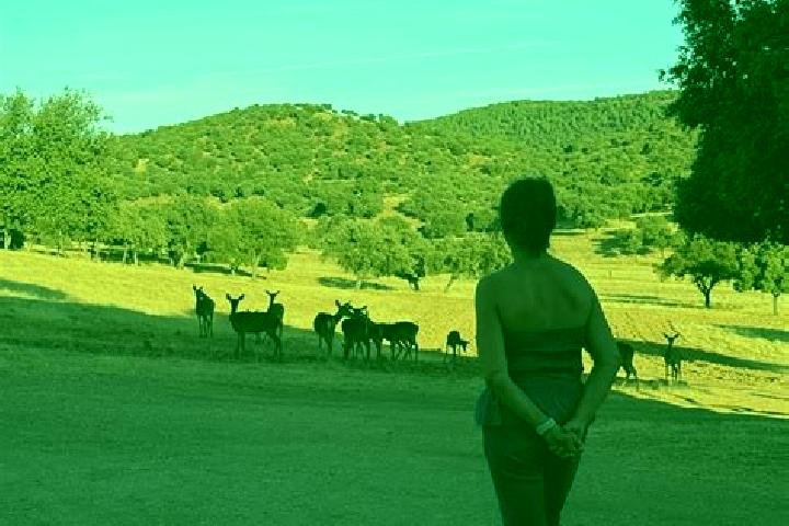 Sofia, 29 — Escort in Aldeaquemada, Spain