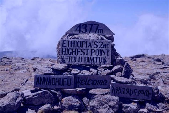 Sofia, 29 — Escort in Tulu Bolo, Ethiopia
