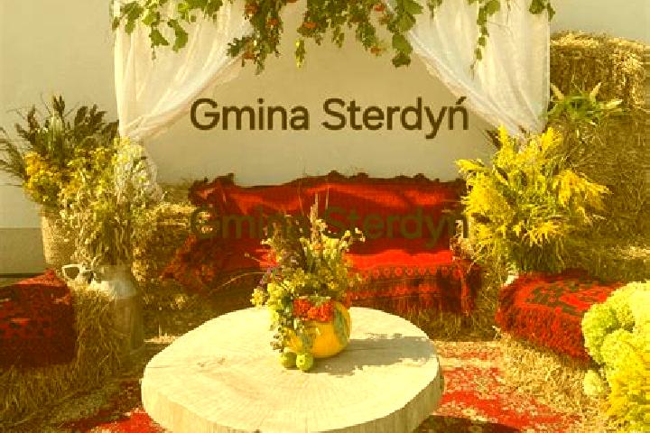 Sofia, 30 — Escort in Sterdyn, Poland