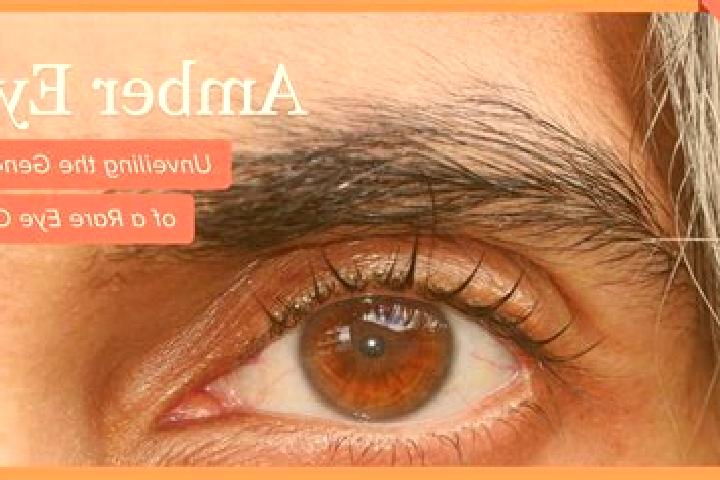 Sofia, 31, a black amber-eyed latina companion based in Langcangan. Offering Deep French Kissing, GFE, Dinner Date, Duos. Available for incall and outcall, o...
